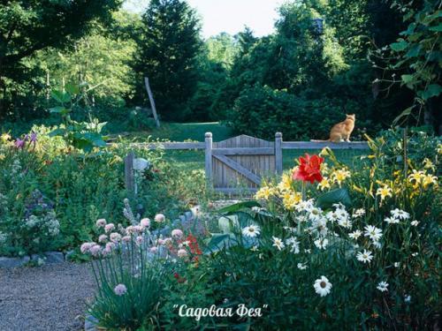 Лучшие садовые дизайны. 06