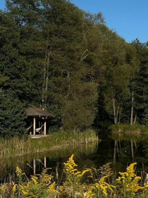 Глэмпинг Зелёная Тропа в тульской области - это отдых на природе с комфортом. 05