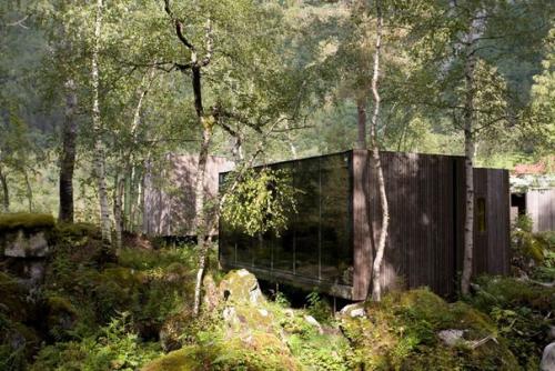 На сколько близко интерьер дома может впустить в себя Интерьер леса? 03