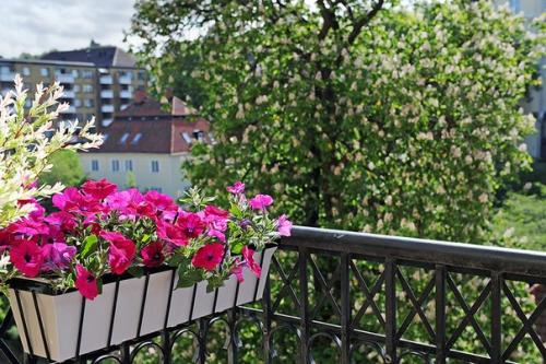 Апартаменты в Гетеборге, Швеция. 08