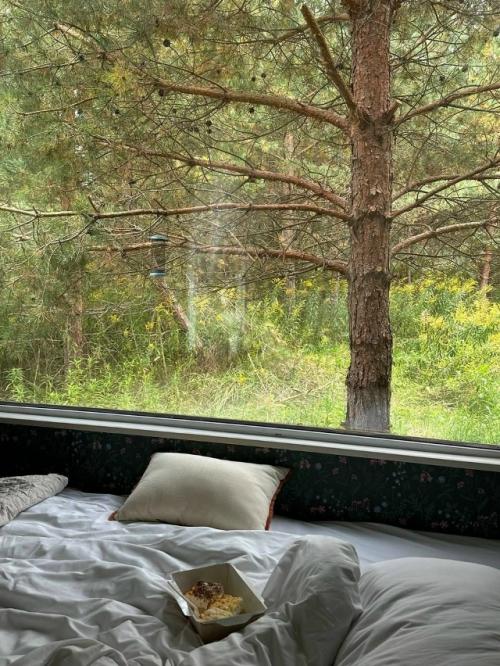 Глэмпинг Зелёная Тропа в тульской области - это отдых на природе с комфортом. 07