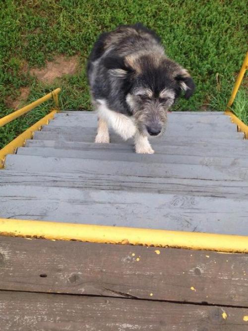 Арнольд ( хэйарнооольд), теперь арго! 03