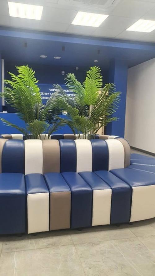 Отдельным постом выкладываю фотографии пальм, которые уже уехали в новые интерьеры. 01