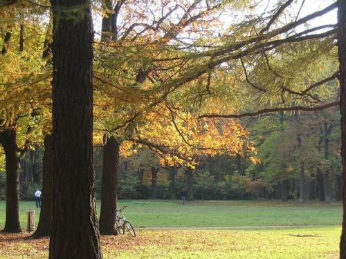 Интересный маршрут вокруг станции метро Удельная. 08