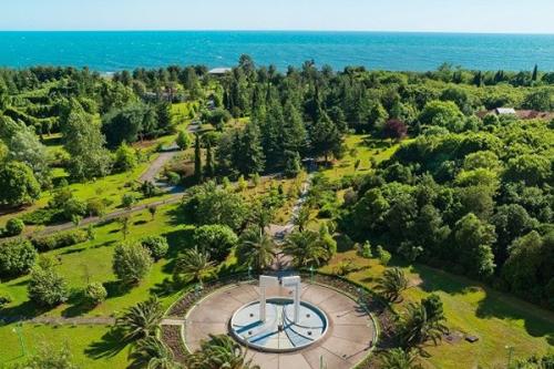 Абхазия?  Пицунда?  Лето 2016! 02