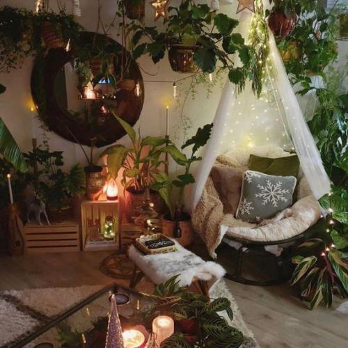 Фитодекор дома.  Использование разнообразных растений в интерьере помогает сделать дом не только интересным и привлекательным, но и комфортным. 04