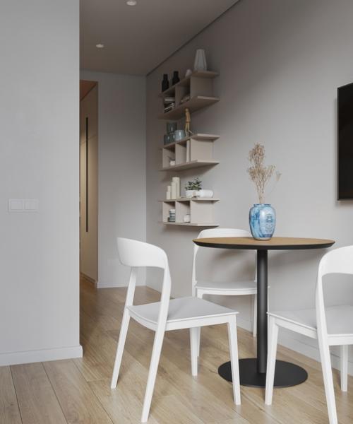 Проект квартиры - студии почти 24 кв. 05