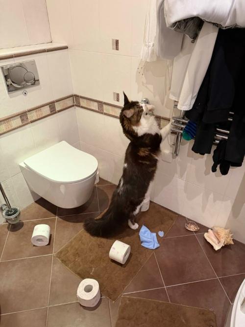 - Был на квартиру налет? - Был на квартиру налет?