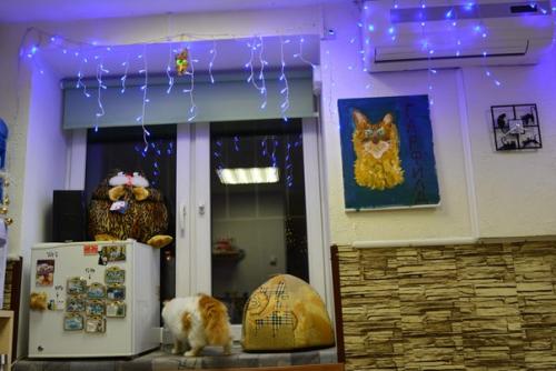 А у вас дома еще стоит елочка? 04