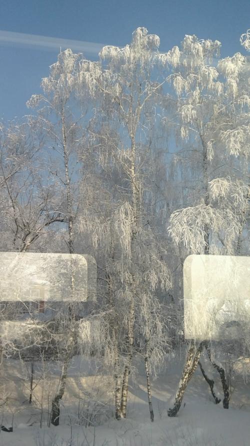 Мороз, от которого отвыкли за последние зимы так украсил дорогу, по которой мы двигались в Тулу, что оторваться от окон было невозможно.  