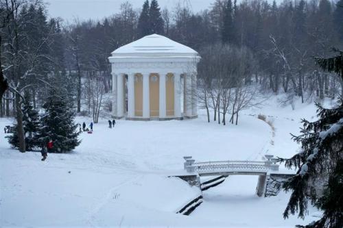 Лев, кентавры и шашлык. 06