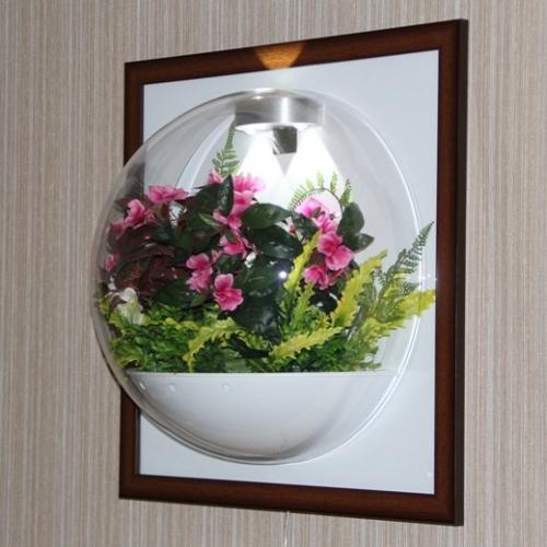 Флорариум настенный Flandriss, с зеркалом. 04 Флорариум настенный Flandriss, с зеркалом. 04