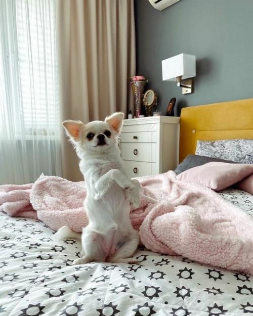 Интерьер однокомнатной квартиры. 07