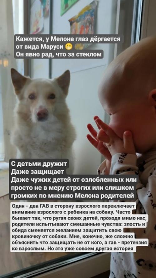 Это мелон. Ему 7 лет. 04