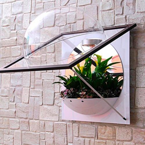 Флорариум настенный Flandriss, с зеркалом. 03 Флорариум настенный Flandriss, с зеркалом. 03