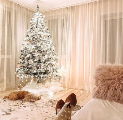 Красивая квартира. Светлая и уютная. 05