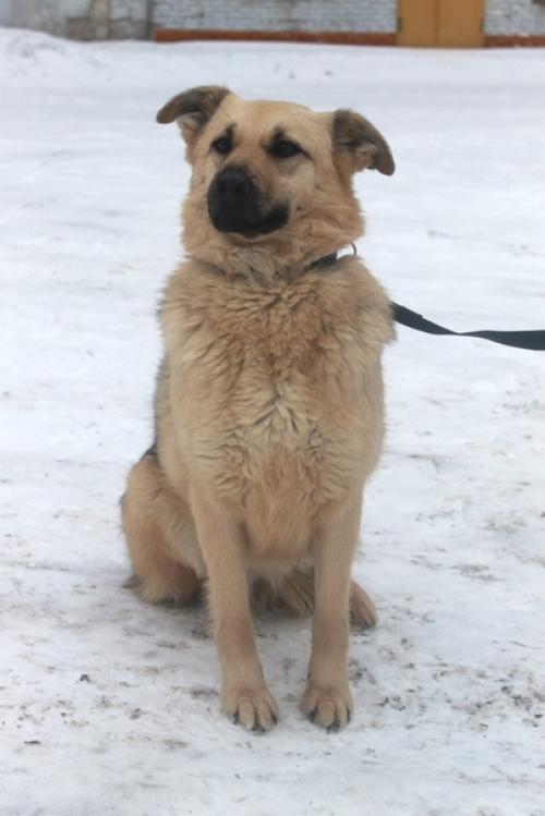 Очаровашка грейси в поиске самых лучших хозяев! 01