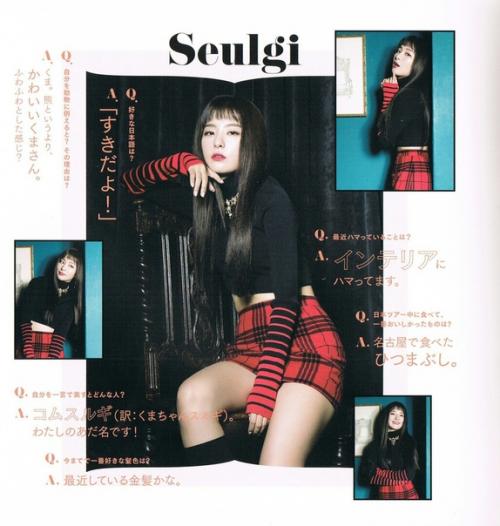//: 180101 Book for Reveluv Baby  Seulgi`s Profile. 01