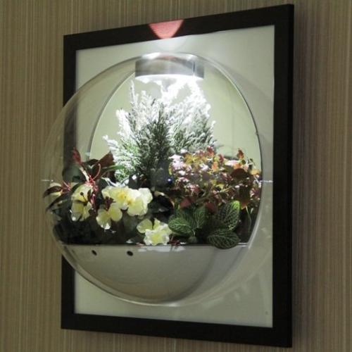 Флорариум настенный Flandriss, с зеркалом. 02 Флорариум настенный Flandriss, с зеркалом. 02