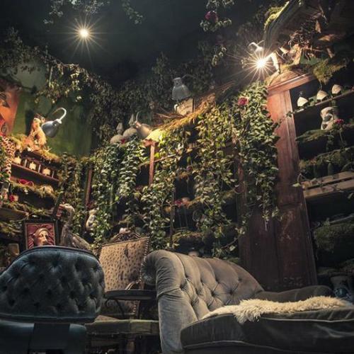 Фитодекор дома.  Использование разнообразных растений в интерьере помогает сделать дом не только интересным и привлекательным, но и комфортным. 01