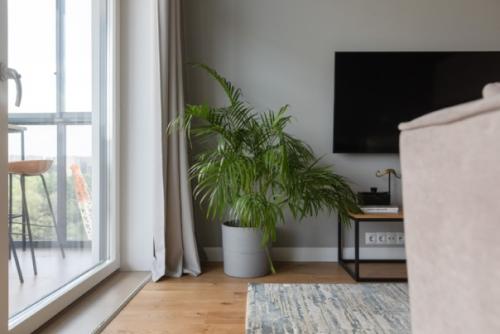 Тренды дизаи на 2021. 01