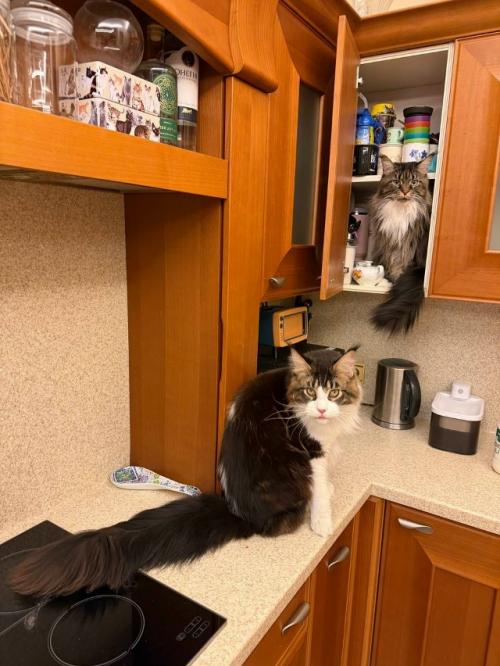 - Был на квартиру налет? 04 - Был на квартиру налет? 04