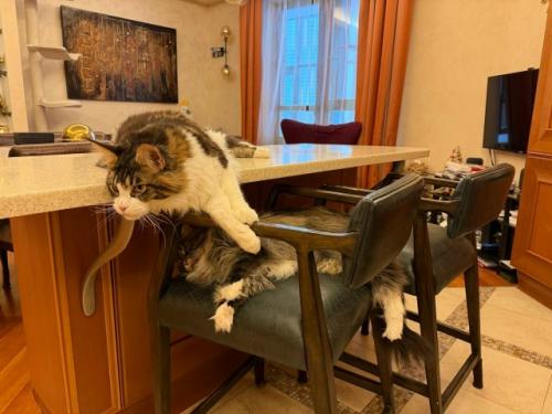 - Был на квартиру налет? 06 - Был на квартиру налет? 06