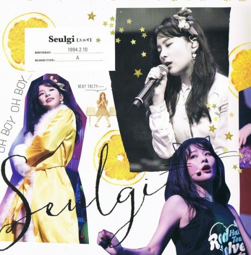 //: 180101 Book for Reveluv Baby  Seulgi`s Profile. 04