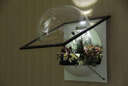 Флорариум настенный Flandriss, с зеркалом. 01 Флорариум настенный Flandriss, с зеркалом. 01