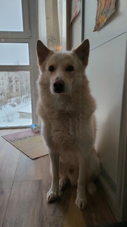 Это мелон. Ему 7 лет. 03