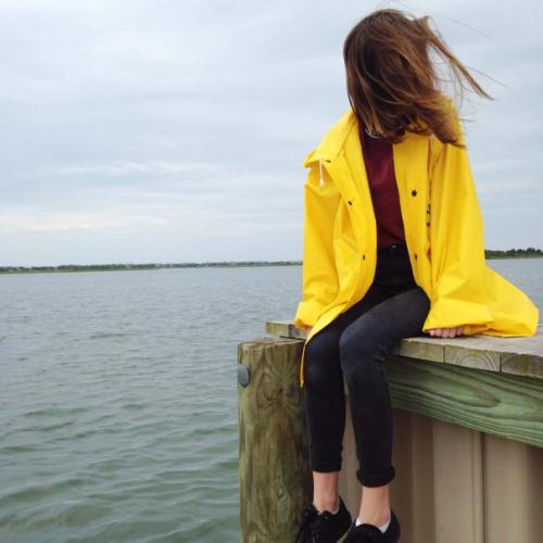 Польза комнатных растение и всё о них? 03