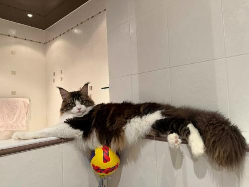 - Был на квартиру налет? 03 - Был на квартиру налет? 03