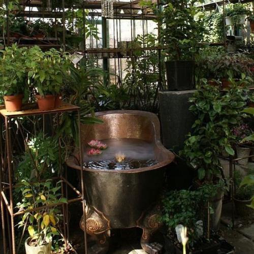 Фитодекор дома.  Использование разнообразных растений в интерьере помогает сделать дом не только интересным и привлекательным, но и комфортным. 02