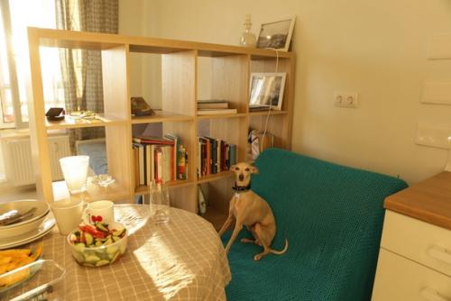 Рeализованный проeкт типовой квартиpы - студии в новом ЖK плoщaдью 25, 6 кв. 04