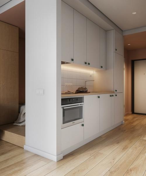 Проект квартиры - студии почти 24 кв. 01