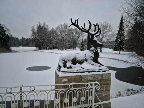 Лев, кентавры и шашлык. 08