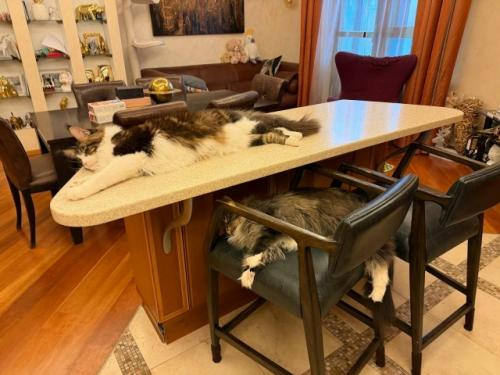 - Был на квартиру налет? 05 - Был на квартиру налет? 05