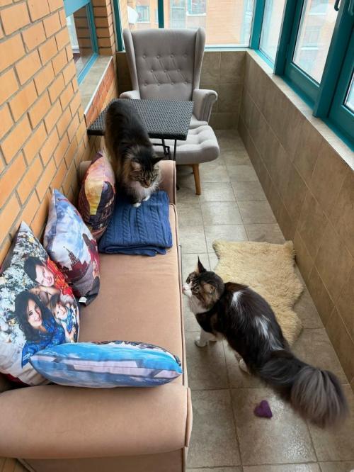 - Был на квартиру налет? 01 - Был на квартиру налет? 01