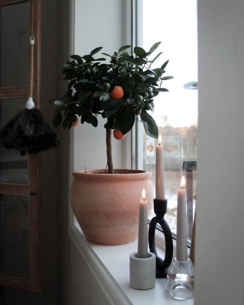 Дизайн этого очень уютного дома состоит из знакомых и простых деталей. 05