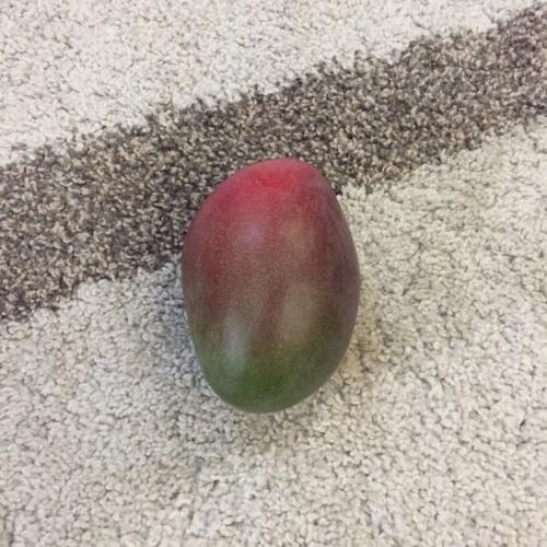 \xB0*\xB0?  \xB0*\xB0?  \xB0*\xB0?  \xB0*\xB0?  \xB0*\xB0?  \xB0*\xB0?  Как сделать дом уютнее? 01