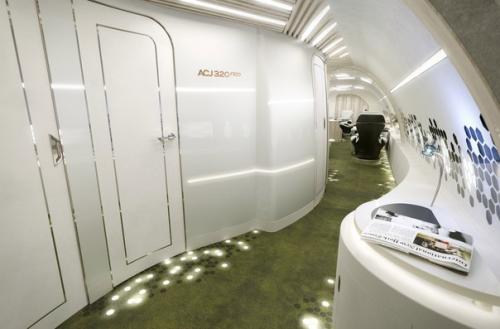 Мелодичный интерьер для бизнес - джета. 02