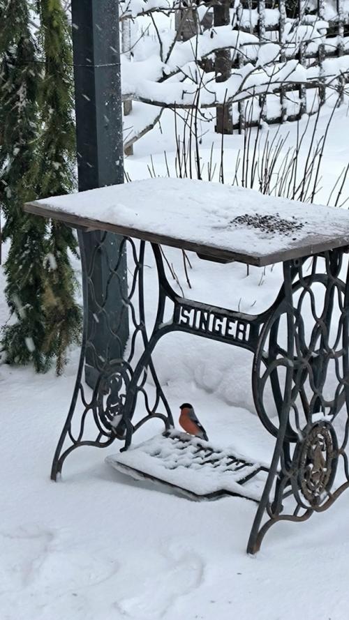 Совместно с девочками из других групп собрали для вас подборку второй жизни старой швейной машинки. 03