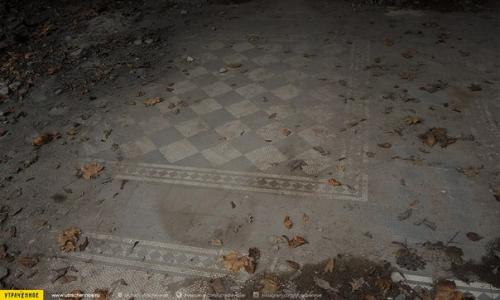 Мы продолжаем рассказ о дворянской усадьбе Степановых в павлищевом бору. 01