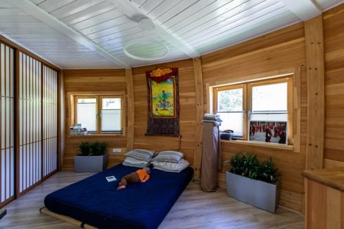 Купольный дом в малиновке: сферическая архитектура. 05