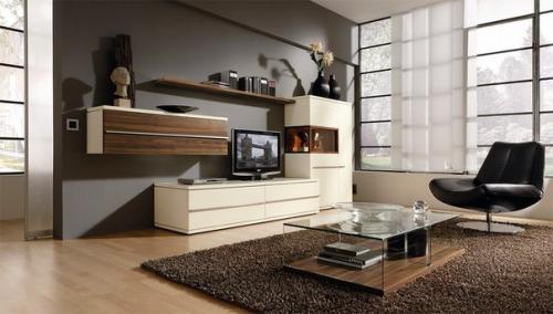 Чем можно заменить Стенку мебельную в гостиной? 04