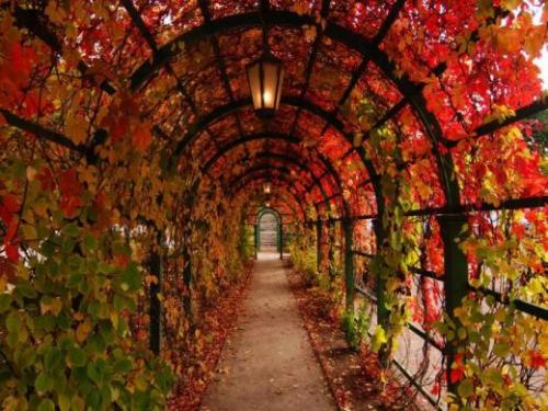 20 мест для осенней прогулки. 01