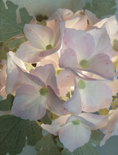 Абсолютный осенний хит - светильник с гортензией! 01