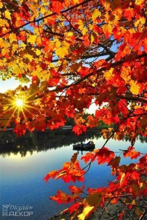 Осень бывает настолько красивой, что воспоминание о ней сглаживает суровость зимы. 05