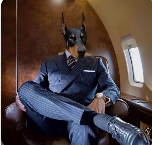 Сейчас в дизайне очень популярен - дофаминовый декор. 07