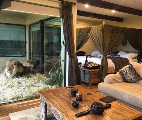 Jamala Wildlife Lodge - необычный отель в зоопарке, Австралия! 04 Jamala Wildlife Lodge - необычный отель в зоопарке, Австралия! 04
